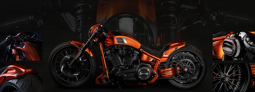 Thunderbike Harley-Davidson  Custom Motorcycles, Parts & Online Shop