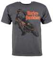 Harley-Davidson Kinder T-Shirt Racer grau  - 1589362V