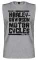 Harley-Davidson Muscle Shirt Grunge Text grau  - 3001724-HTGY
