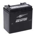 MCS Advance AGM Battery 14Ah, 220CCA  - 955124