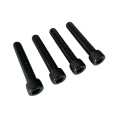 Old-Skull Brothers Front Fender Screws black  - OSB-FF-SP-61011-S