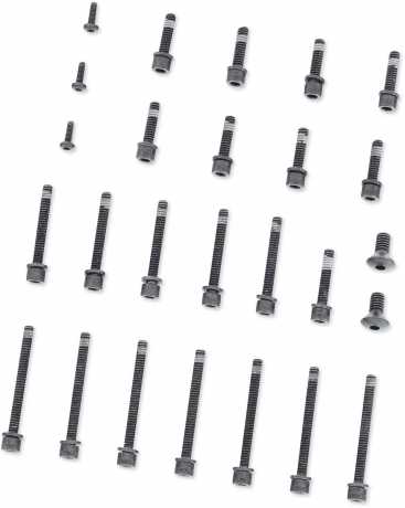 Cam and Tappet Cover Hardware Kit black 