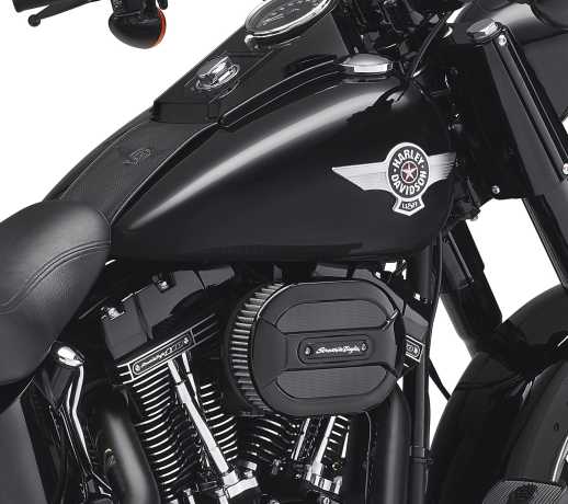 Harley-Davidson Air Cleaner Cover Medallion black  - 14100699