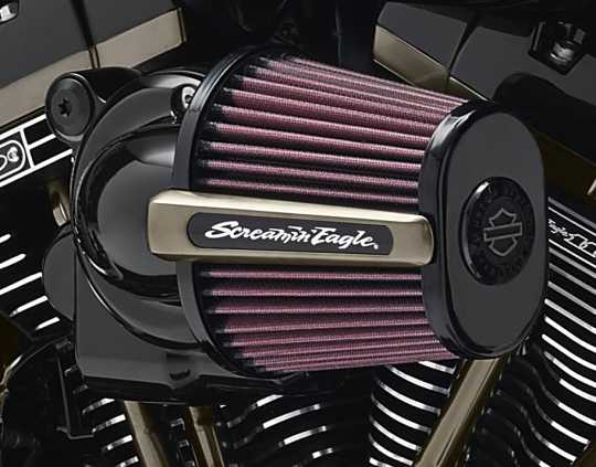 Harley-Davidson Air Cleaner Medallion & Bracket  - 14100854