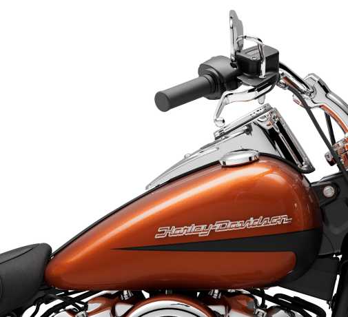 Harley-Davidson Fuel Tank Medallion Cust Color right  - 14101143BAGH