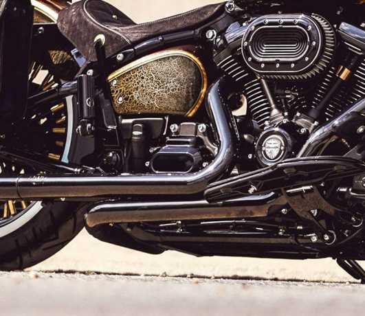 Harley-Davidson Getriebeabdeckung seitlich schwarz  - 25800098