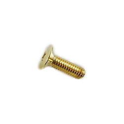 Harley-Davidson Air Cleaner Flames Replacement Screw gold & chrome  - 29419-98A