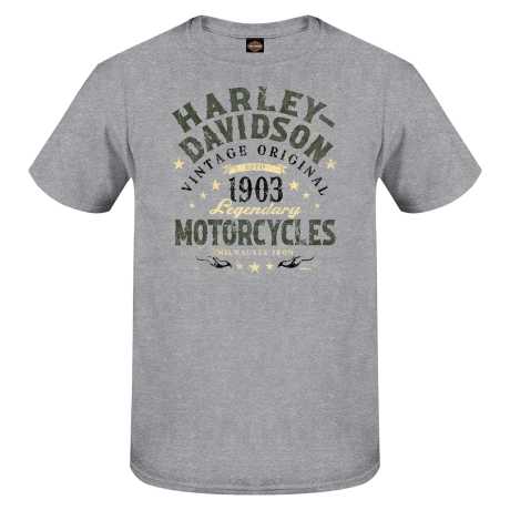 Harley-Davidson men´s T-Shirt Tall Word grey XXL