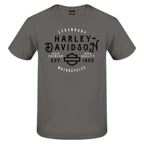 Harley-Davidson T-Shirt Flagged grau 