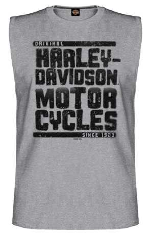 Harley-Davidson Muscle Shirt Grunge Text grau XXL