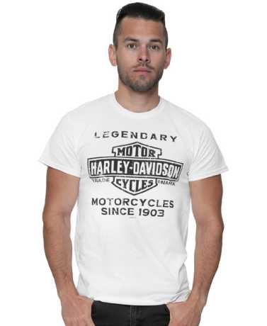 Harley-Davidson men´s T-Shirt Spent white 