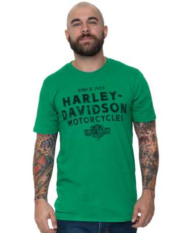 Harley-Davidson T-Shirt More Oil grün 