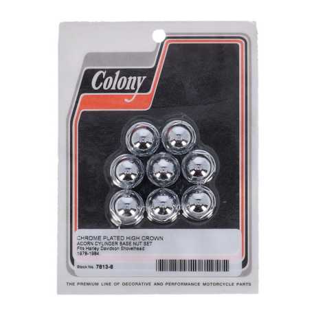 Colony Colony Cylinder Base Nut Kit  - 513145
