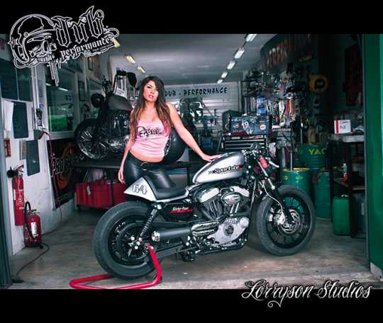 DUB Performance Cafe Racer Tail  - 61-9629