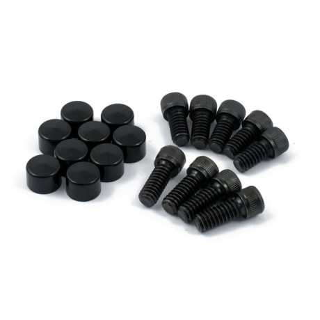 Motorcycle Storehouse MCS Smoothtopps Derby & Inspection Bolts & Covers black  - 905169