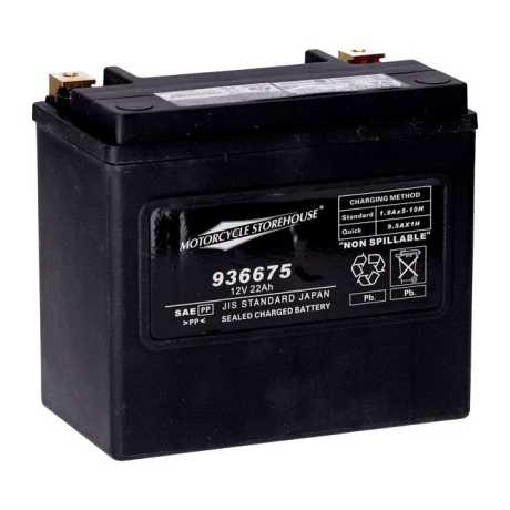 MCS AGM Batterie 22Ah 325CCA 