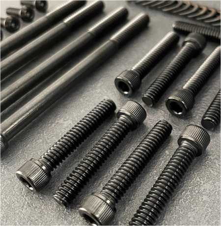 Old-Skull Brothers Engine Screw Set PVD black 