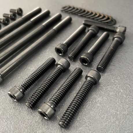 Old-Skull Brothers Engine Screw Set PVD black 