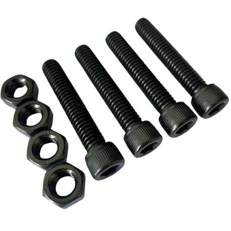 Old-Skull Brothers Front Fender Screws black 