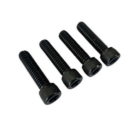 Old-Skull Brothers Front Fender Screws black 