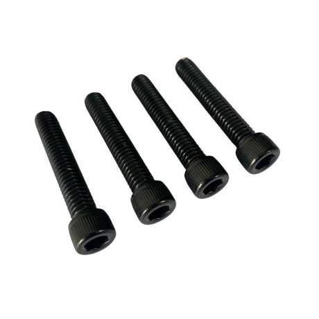 Old-Skull Brothers Front Fender Screws black 