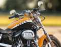 Harley-Davidson Luftfilter-Zierblende Willie G Skull  - 29416-04