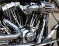 Harley-Davidson Timer Cover Willie G Skull  - 32975-04A