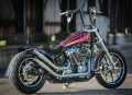 Thunderbike Mounting Hardware Kit Street Devil Upswept 20° polished  - 92-74-015