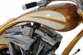Thunderbike EFI Cover Stainless Steel  - 96-72-160V