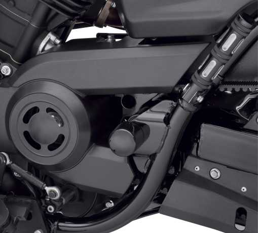 Harley-Davidson Schwingen Achsbolzen-Cover schwarz  - 61400269