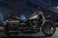 Harley-Davidson Sport Luggage Rack for HoldFast Sissy Bar Uprights Gloss Black  - 50300131A