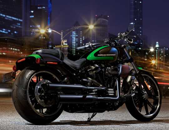 Harley-Davidson Dominion Passenger Footpegs black  - 50500992