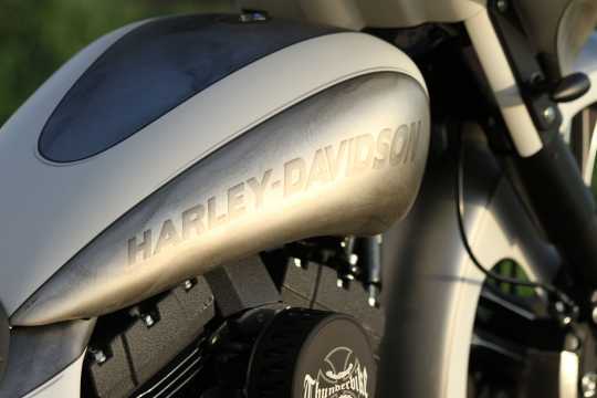 Thunderbike Thunderbike EFI-Cover  - 96-77-060V