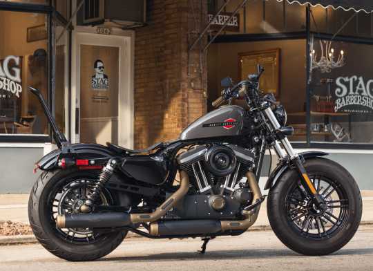 Harley-Davidson Einteiliger abnehmbarer Sissy Bar Bügel schwarz  - 51146-10A