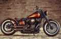 Thunderbike Handlebar Hollywood raw - 50-99-461