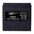 MCS AGM Batterie 14Ah 240CCA  - 936673