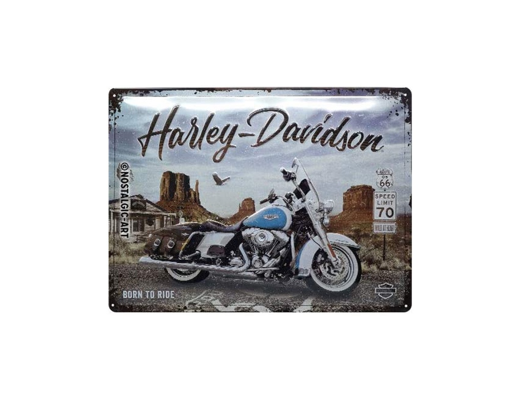 Harley Davidson Blechschild 20x30 cm 22214 Biker Babe 